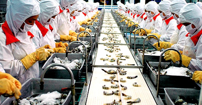 Значительно увеличился экспорт вьетнамских креветок